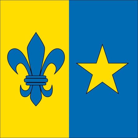 Vilters Wangs flag